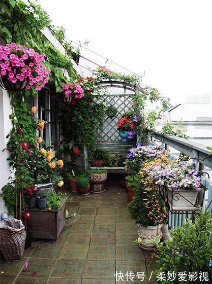 吊兰|贵州一户人家，阳台从不堆杂物，打造成小花园，邻居看了都羡慕