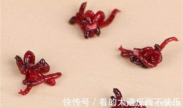 冬季钓鱼有秘诀“9字秘诀”看懂冬钓套路,天冷也能连竿上鱼!