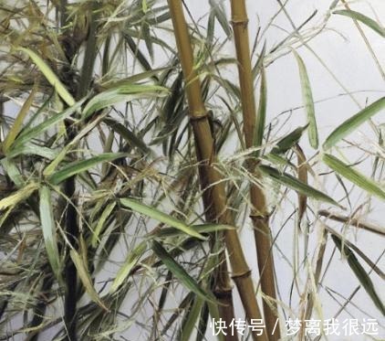 竹子#冷军画油画竹子,画一幅不过瘾连着画四幅,一幅卖了500万!
