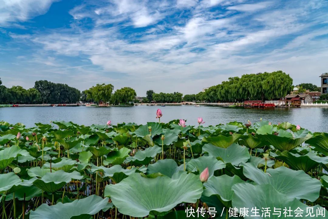心脏|夏日多湿热,这些方法可祛湿健脾养心脏