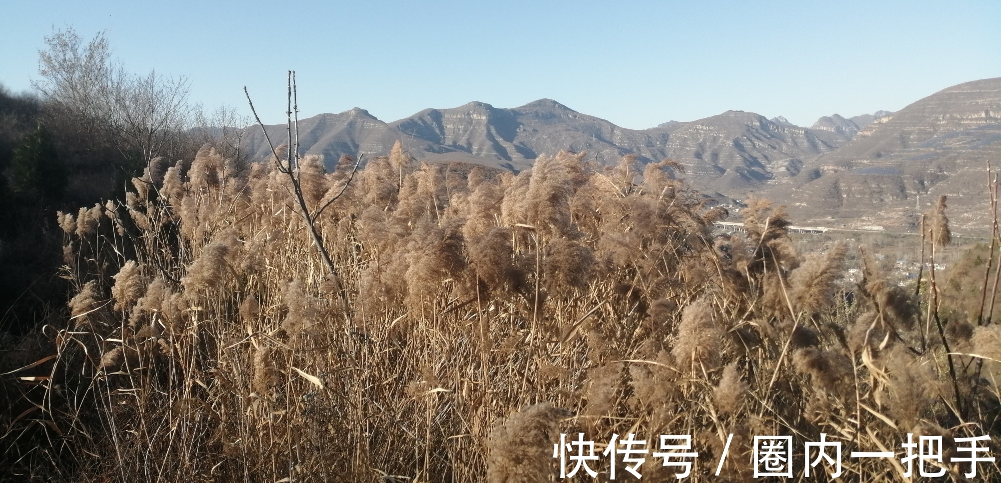 天下母$《德道经》谷神不死,是谓玄牝——《用篇第二》第五节