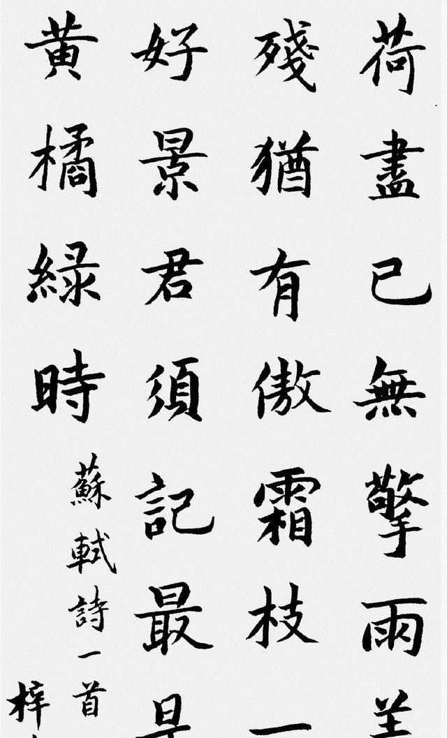 央视@央视三大未婚美女的书法各具魅力,堪称人美字牛,才气飞扬!