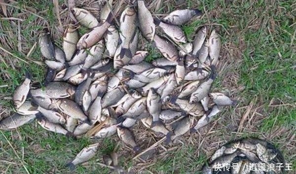 冬季钓鱼有4大难题,应对得当,渔获更有保证!