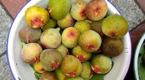 人到中年常吃3种食物，降压减脂，排毒清肠，增强抵抗力