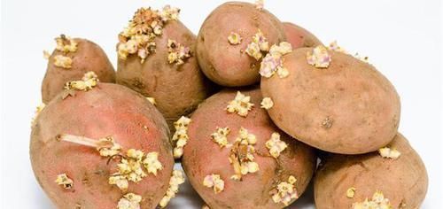 最伤身的“蔬果”有哪些?趁早管住嘴,别任性妄为