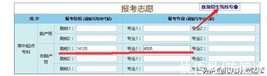 成人高考|成人高考来袭，报考流程你们掌握了吗？来，橙子老师带你们报一遍