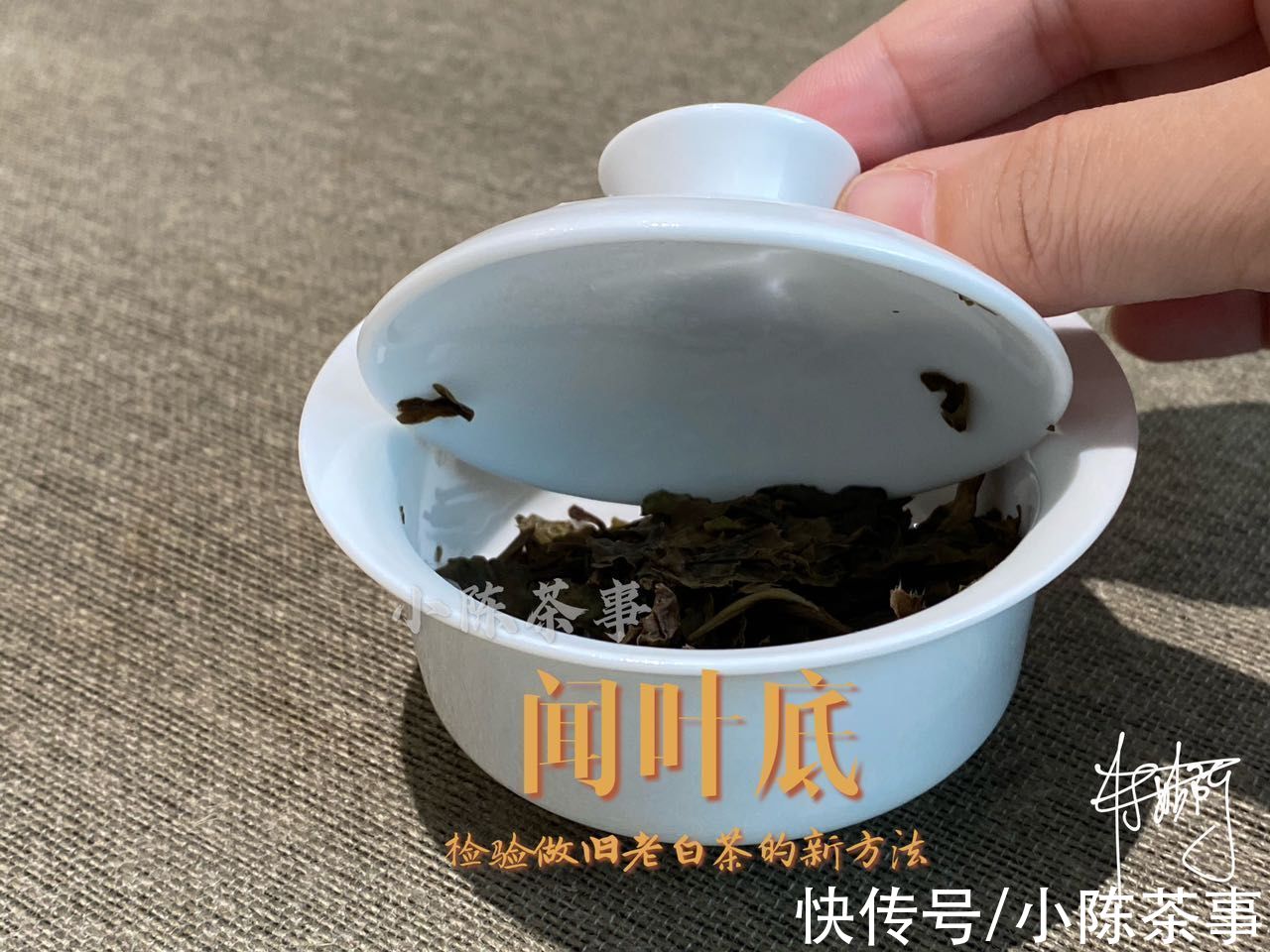 白茶|“一眼假”已经过时，高仿A货老白茶悄然降临，教你一招鉴定真伪