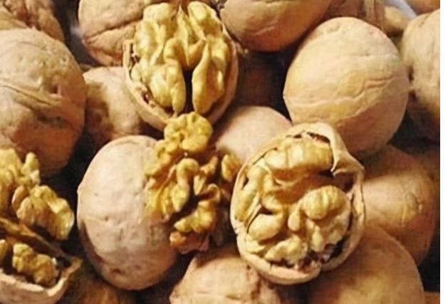 无花果|准备年货要准备过年了,孩子爱吃3种吉祥果,寓意开开心心