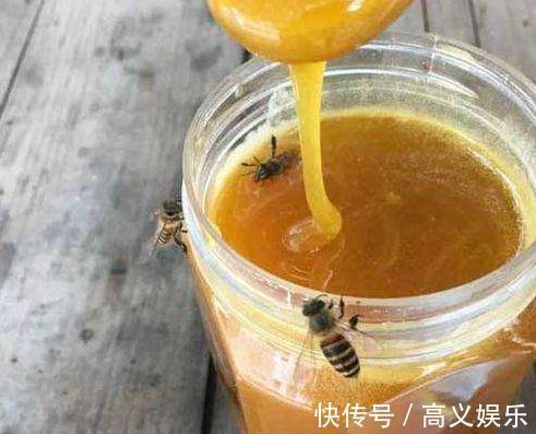 水杨酸|8种自制生根剂,扦插前抹一抹,白根冒的又快又多!