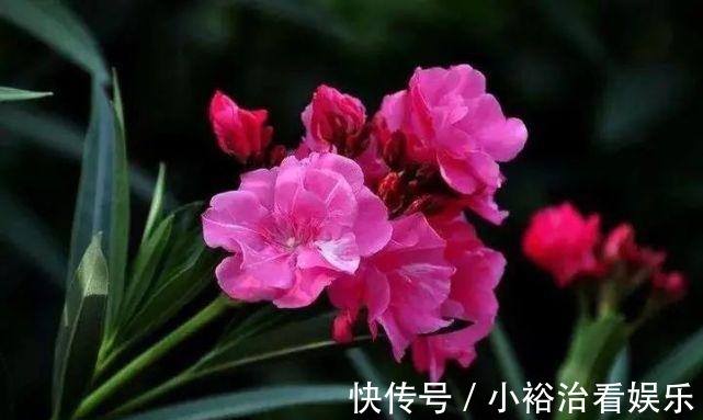 腰椎间盘突出|一个小土方，消除腰间盘突出很简单，一用一个好！