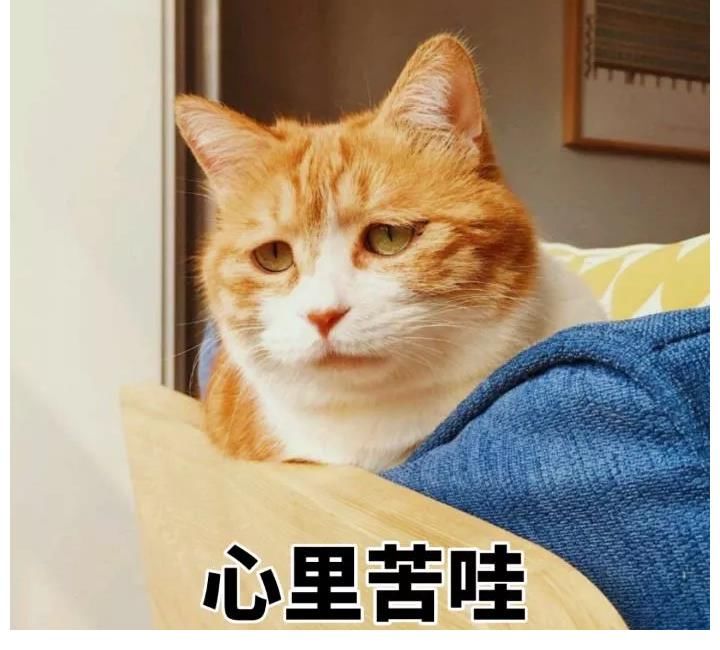 鹿晗自曝曾想過反抗「五哈」節(jié)目組最終卻放棄了，主要因為……