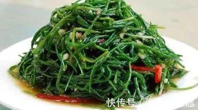 黄鹌菜|农村小野菜，纤维含量高现成泡菜首选，一斤10元，见到采点