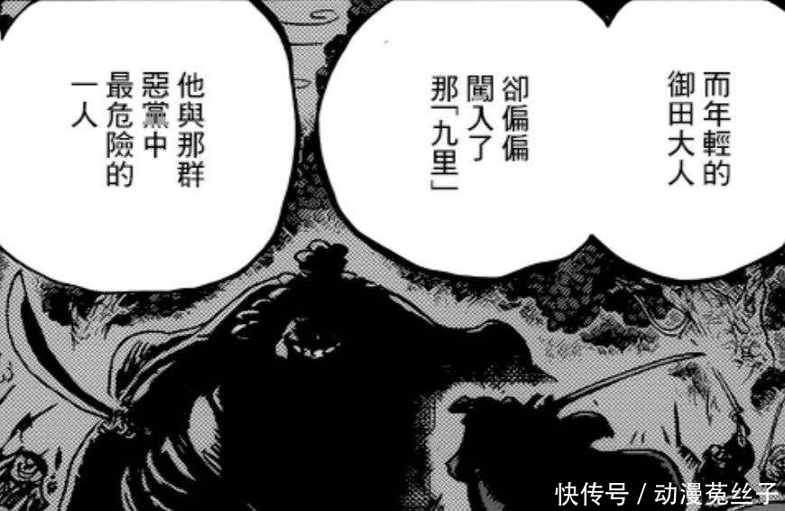 女帝|海贼王962情报:小菊男儿身又实锤,年轻大妈露脸,和女帝谁更美