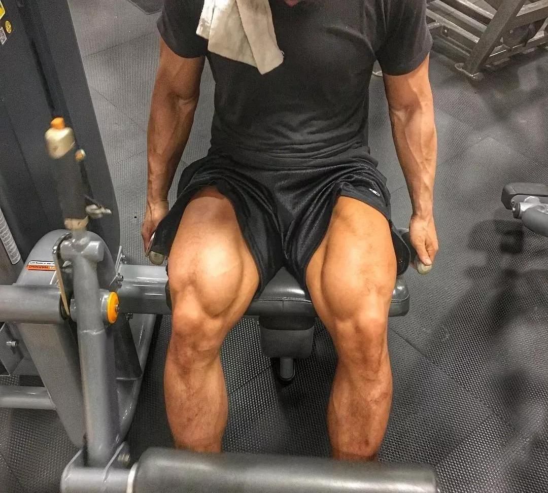 股四头肌|练腿一周应该练几次超过2次的人,都很“聪明”