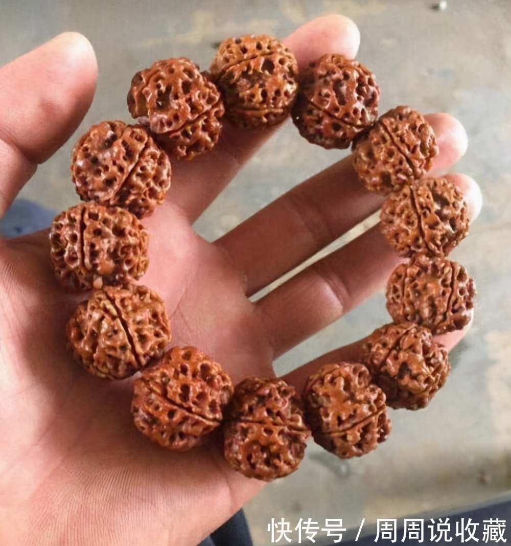 金刚|金刚菩提瓣数越多价格就越高吗?