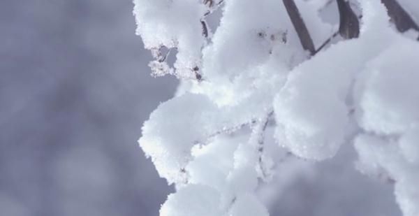 四川|今日立冬，四川这些地方下雪了 ！