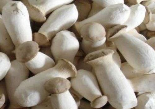 女人爱美，多吃几种食物，排毒润肤，延缓衰老，美容养颜