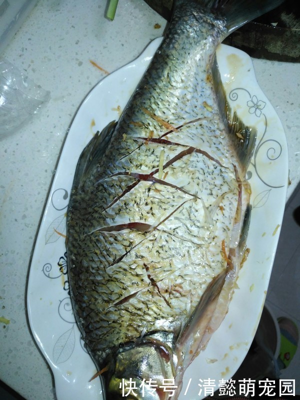 死对头|它是鱼腥的“死对头”,炖鱼时注意下,鱼肉更鲜嫩,一点都不腥!