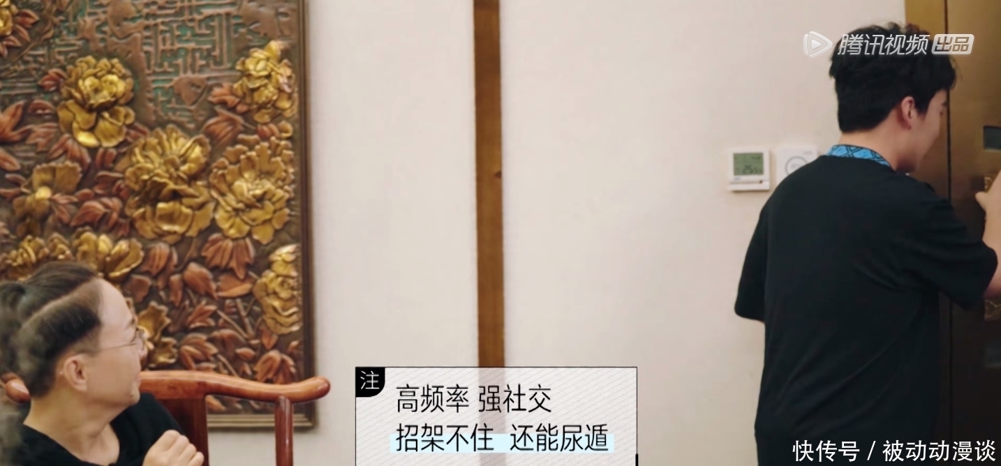 解说词|郭麒麟被宋丹丹问感情状况,李雪琴吐槽真人秀假,这档综艺真有毒