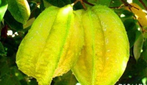 营养|最有营养的三种食物，排毒养颜、滋润肌肤，越吃越年轻！