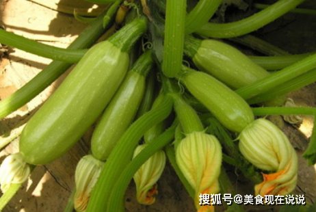 12个菜农不外传的买菜技巧，新鲜还便宜，老板一看就不敢忽悠你