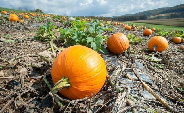 糖尿病|血糖高的人,睡觉时会有3种异常,若没有,血糖控制得还不错!