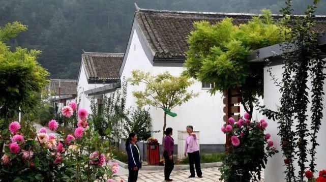 宅基地|“停止”确权?2021年起,农村房子统统这样处理,农村子女需注意