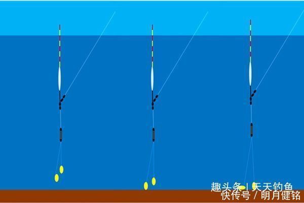 带饵调漂的优势,这种调漂方法公认最科学,肯定是有道理的