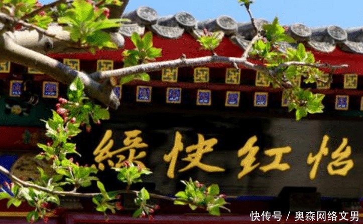 生活|看红楼梦中的相处,其实人生最不可缺的,是生活中的美学