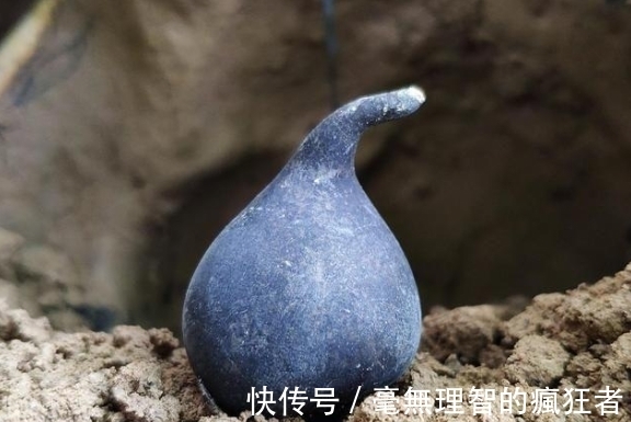 乌灵参|乌灵参:白蚁种出来的“人参”,价值堪比黄金,极其稀有和难获取