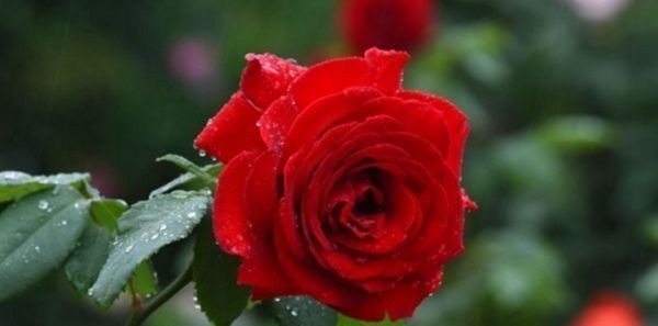 孝顺|出生在以下时辰的孩子,个个“文曲星”,孝顺懂事,长大有出息