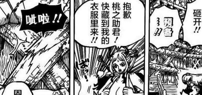 日记|海贼王1012话:索隆全身断裂20多根骨头,桃之助打开了御田的日记