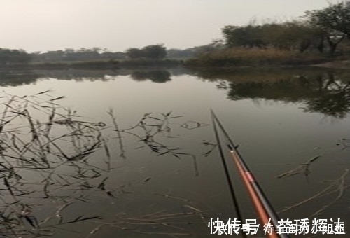 初春为什么自然水域的鲫鱼会浮头难钓老钓友教你三招上鱼技巧