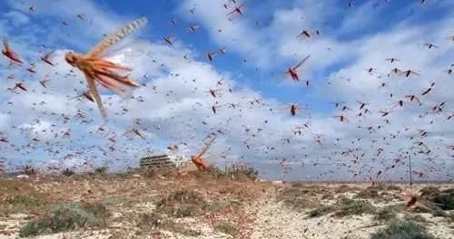 孩子|作为明朝最后一个皇帝，本是明君，却为何成为亡国君？