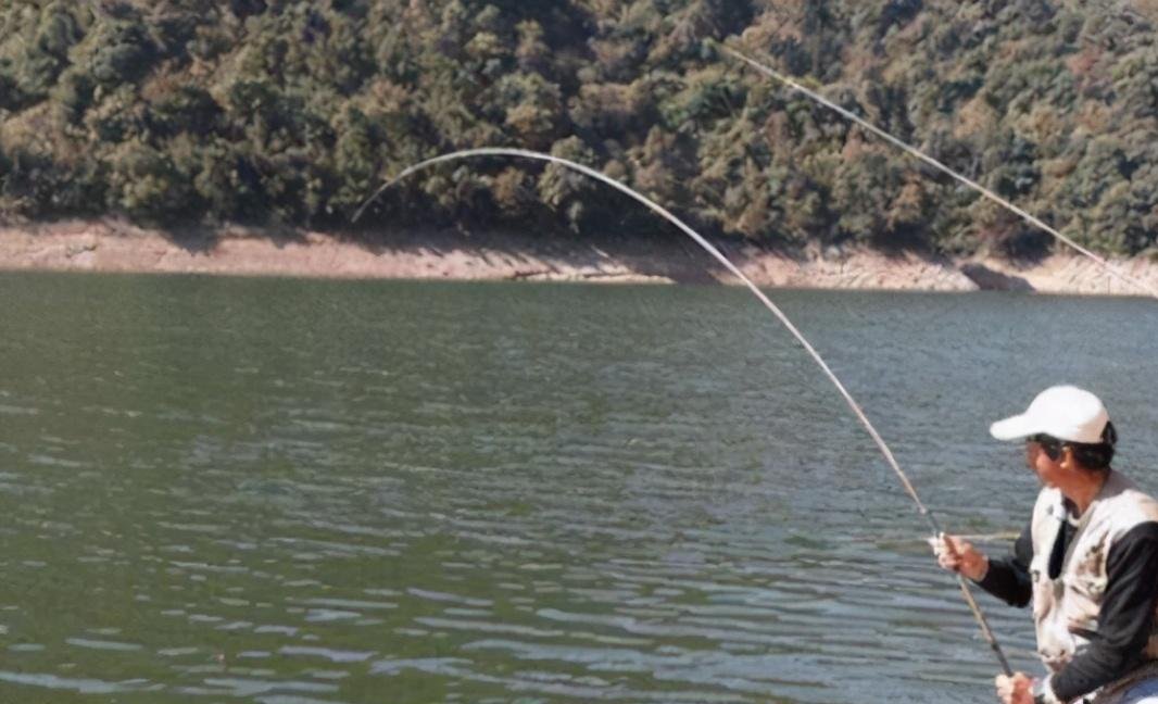 钓鱼时不能大声说话,声音会把鱼吓跑,鱼真能听到人说话吗?