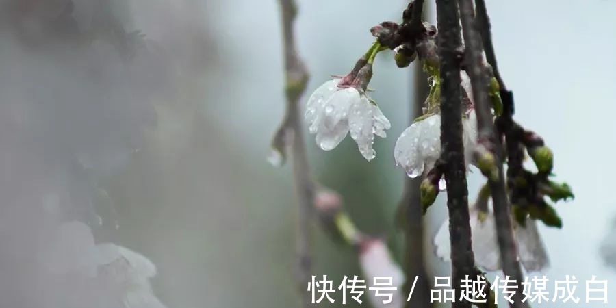 重情重义|一个小小的细节,会暴露了最真实的人