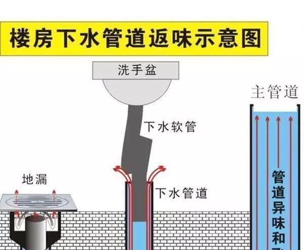 卫生间老有一股臭味,直接用老师傅的办法还挺实用,臭味去无踪