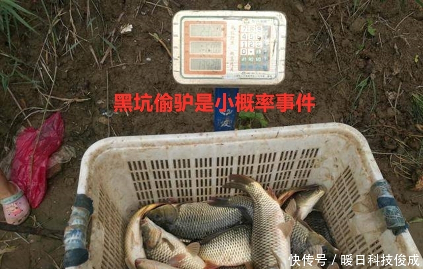 钓鱼|黑坑“偷驴”!无锡钓友150元钓了11条青鱼,鱼塘老板心态崩了