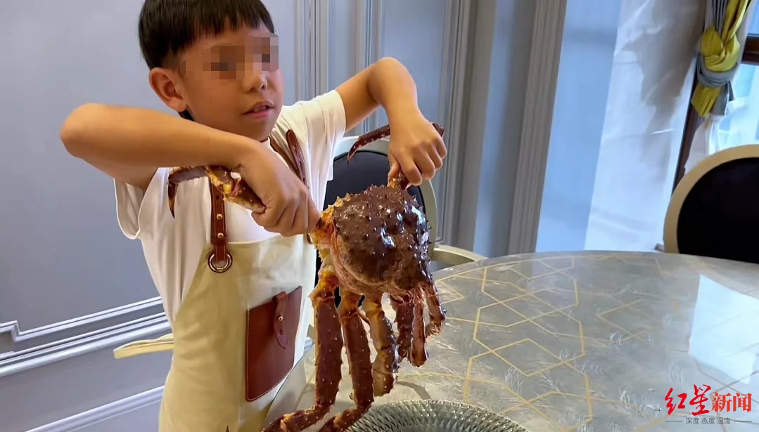 小学生用998元帝王蟹参加厨艺大赛，爸爸称“平时也吃”插图2