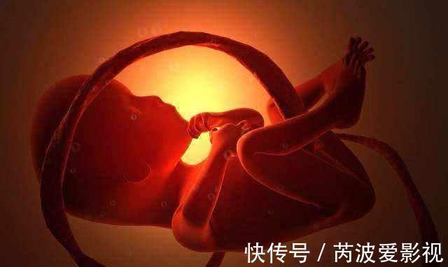 排畸|胎儿在肚里传递的4个信号,孕妈接收到几个?越多说明宝宝越聪明