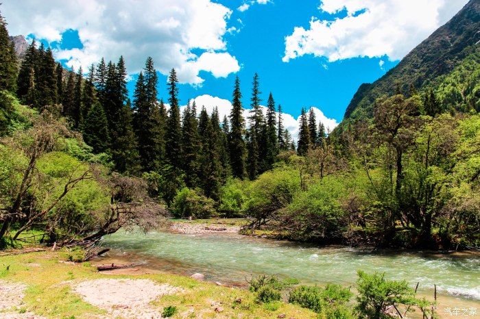 枯树滩|东方圣山，户外天堂——四姑娘山自驾徒步之旅