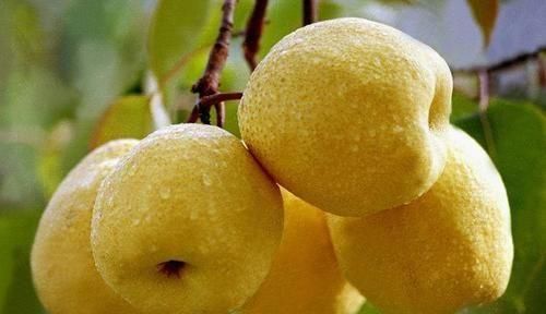 女性到了中年，不妨常吃3种食物，疏通血管，延缓衰老，排毒清肠