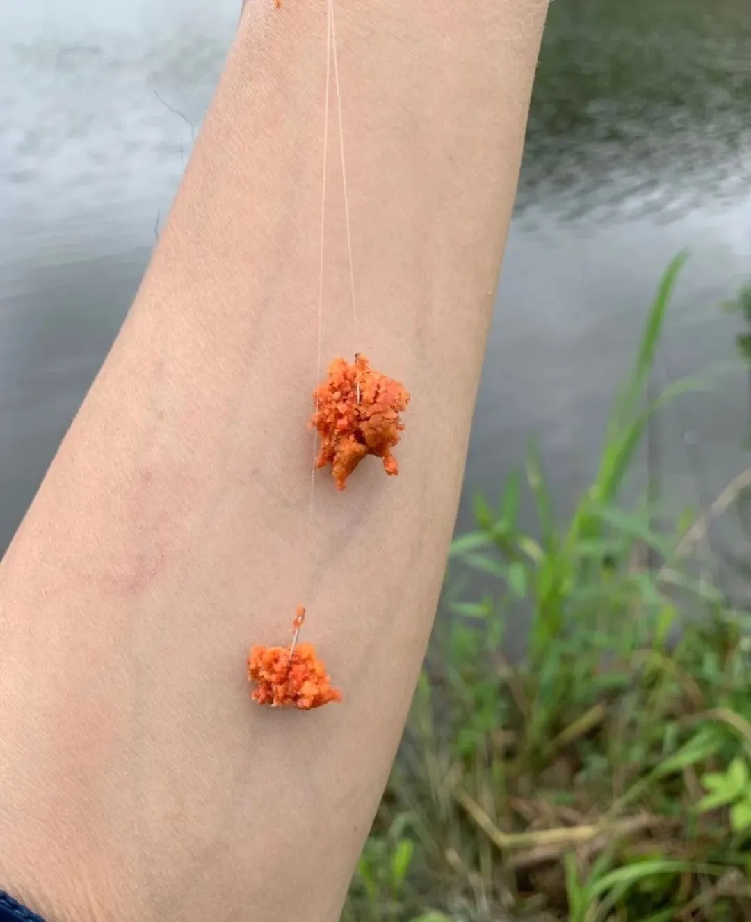 冬天冷,开出的饵料无鱼吃?牢记这五字,大板鲫随你钓