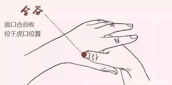 三七粉|80岁女老中医,脸上不长斑,肤似婴儿,只因这2大养颜秘诀