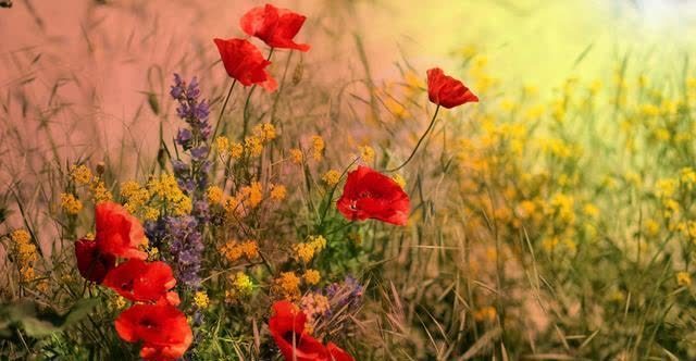 人生@心烦的时候,记住这3句话,让你受用一生