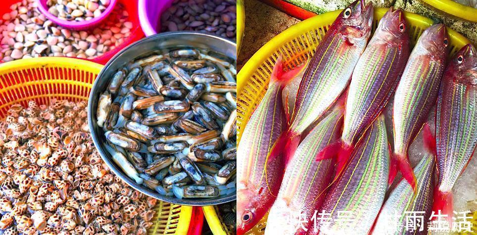 营养均衡|建议中老年人：6种食物要常吃，营养美味对身体好，比吃保健品强