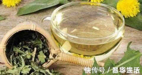 蒲公英茶|每天用“蒲公英”泡水喝,坚持一段时间,这8件好事可能悄然来临