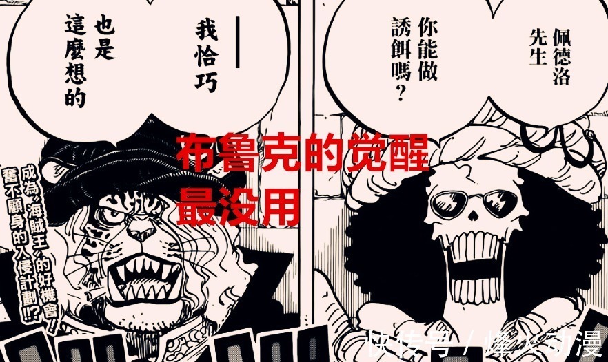 山治|海贼王1031话解析:同样是觉醒,而草帽团中只有他是最废的能力者