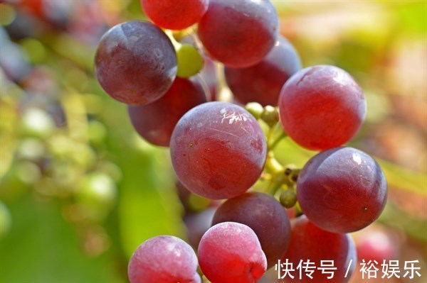 营养物质|常吃这4种水果,一觉睡到天亮不失眠,能为睡眠提供多一层保障