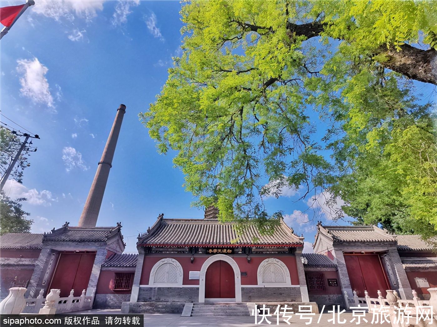 线路|跟着打卡！“叶落的季节—漫步北京”14条赏银杏品文化线路来了